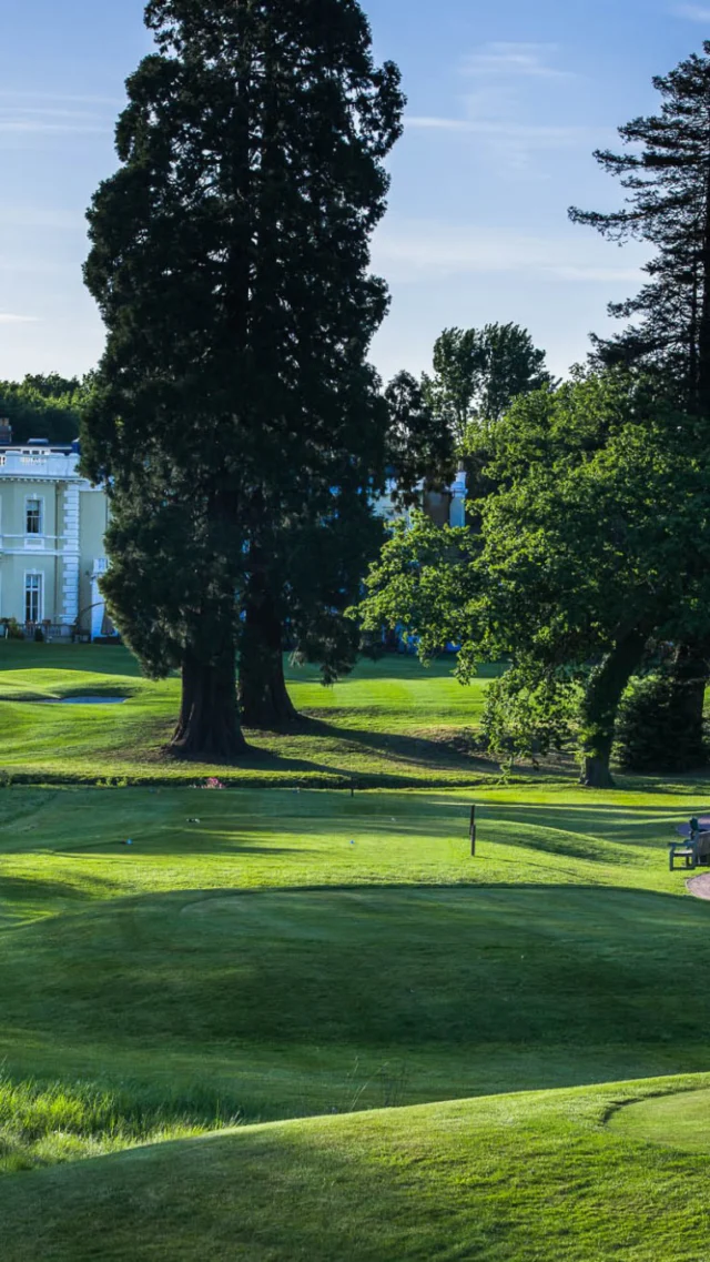 Golden hour golf at Burhill Golf Club ☀️

Our afternoon tee times are the perfect excuse to escape for a few hours, enjoy the course and make the most of longer evenings.

Book your next round 🏌️

#AfternoonGolf #GreenFees #BurhillGolfClub #SurreyGolf #TeeTime